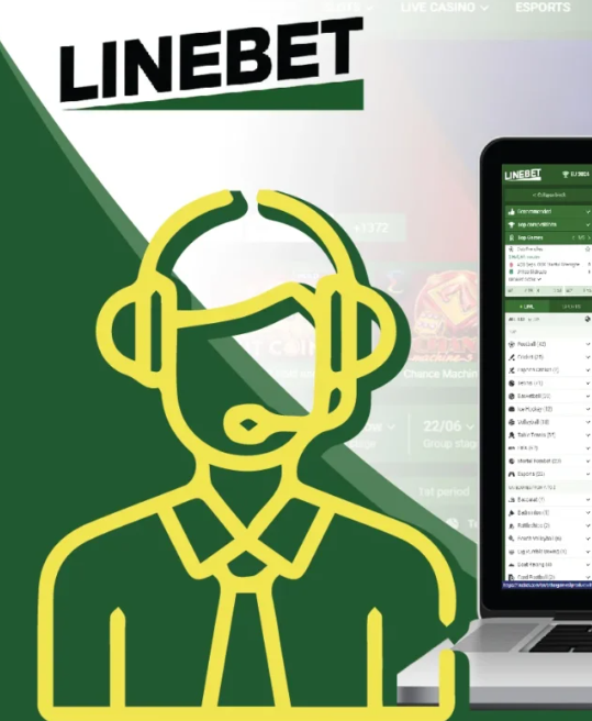 linebet sport bet