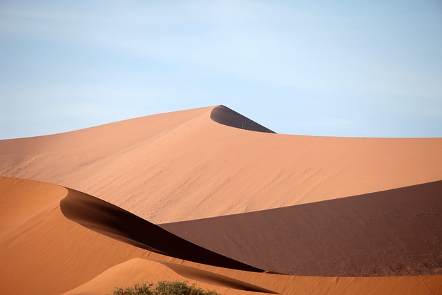 Gambling in Namibia: Laws, Betting Options and Player Protection