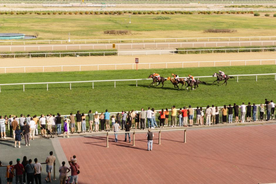 Gambling Laws in Mali: What Players and Operators Need to Know