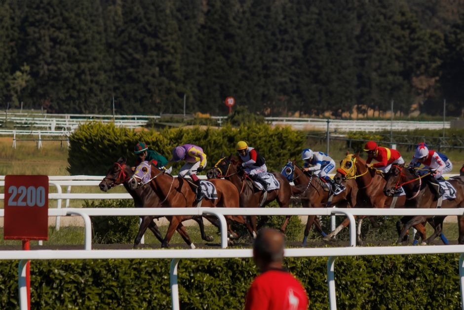 How to Calculate ROI in Sports Betting: Formula, Examples and Common Errors