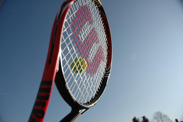How Rankings Affect Tennis Betting: What They Tell You—and What They Miss